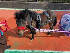 -舟山希尔顿酒店