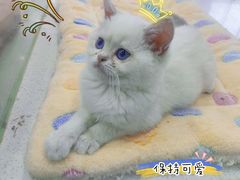 -万达广场(南昌红谷滩店)