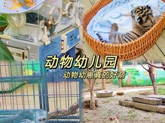 -常州淹城野生动物世界