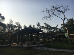 -大嶝英雄三岛战地观光园