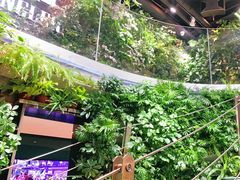 -肉串汪(望京店)