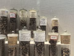 -广东中医药博物馆