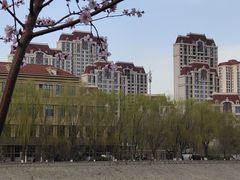 -桃花堤公园