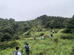 -灵山