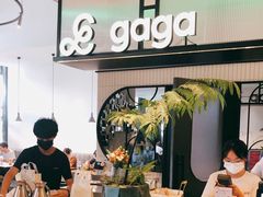-gaga(深圳南山益田假日广场店)