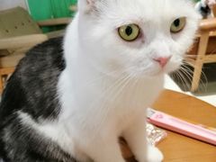 -藏猫猫咖啡主题馆(中央大道店)