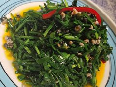 韭菜炒螺肉-江南韵·无锡太湖文化体验餐厅(凤凰天街店)