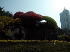 android_upload_pic-迎泽公园