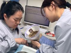 -诺比宠物医院心脏内科·泌尿肾内外科·骨科急重症