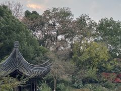 -红梅公园