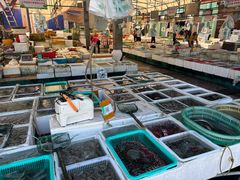 -外伶仃岛海鲜市场