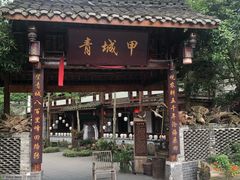 -青城甲(青城山店)