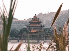 -顺峰山公园