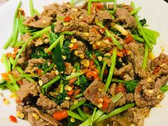 -壹盏灯(惠农店)