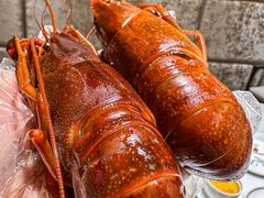 -新光酒家·河豚·海鲜·蟹料理(浦东店)