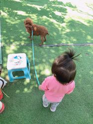 -萌宠亲子动物乐园(槐房万达店)