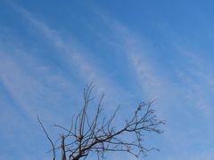 -静之湖湖畔餐厅