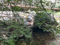 -九龙潭景区