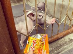 -三肥两瘦烤肉(鹿城店)
