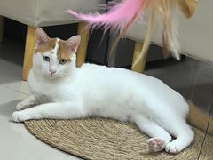 -闫水饺大酒楼·北京老闫靓马饺子馆