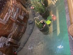 -即墨印象