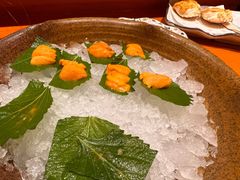 -月龍吟(朝龙汇店)