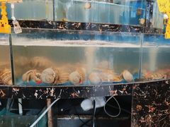 -丁字口海鲜热炒·烧烤大排档