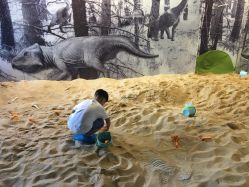 -恐龙探索乐园(磁器口店)