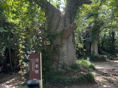 -淹城春秋乐园
