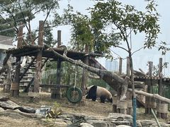 -武汉动物园