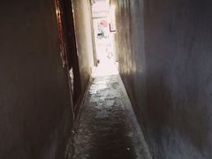 -小云凤热汤丝娃娃