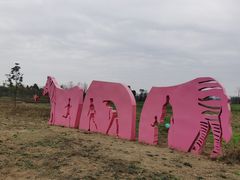 -白鹭湾湿地公园