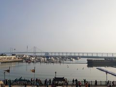 -大连圣亚海洋世界