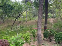 -元大都城垣遗址公园