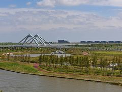 -春花秋色城市公园