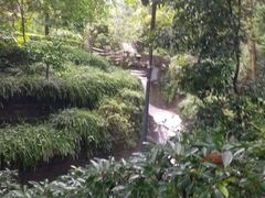 -白公馆