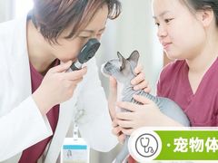 -纳吉亚猫专科动物医院博雅分院