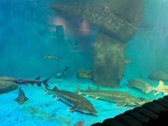 -多彩贵州城极地海洋世界