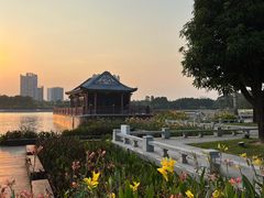 -顺峰山公园
