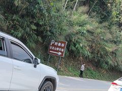 -野象谷景区