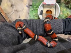 -酷嗒动物文化乐园(cutezoo西溪乐天城店)