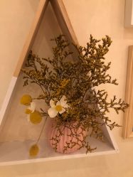 -薇兰专业脱毛连锁机构