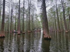 -渌洋湖湿地公园