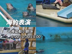 -秦皇岛乐岛海洋王国