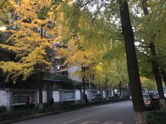 -四川大学(望江校区)