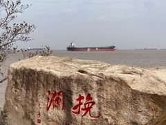 -上海滨江森林公园