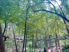 -沂蒙山旅游区云蒙景区(蒙山国家森林公园)