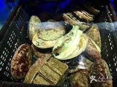 -金唐海鲜酒家