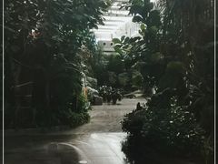 -滕头生态酒店(奉化店)
