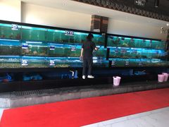水产区-南海渔家•海鲜•正宗海南菜(海棠湾店)